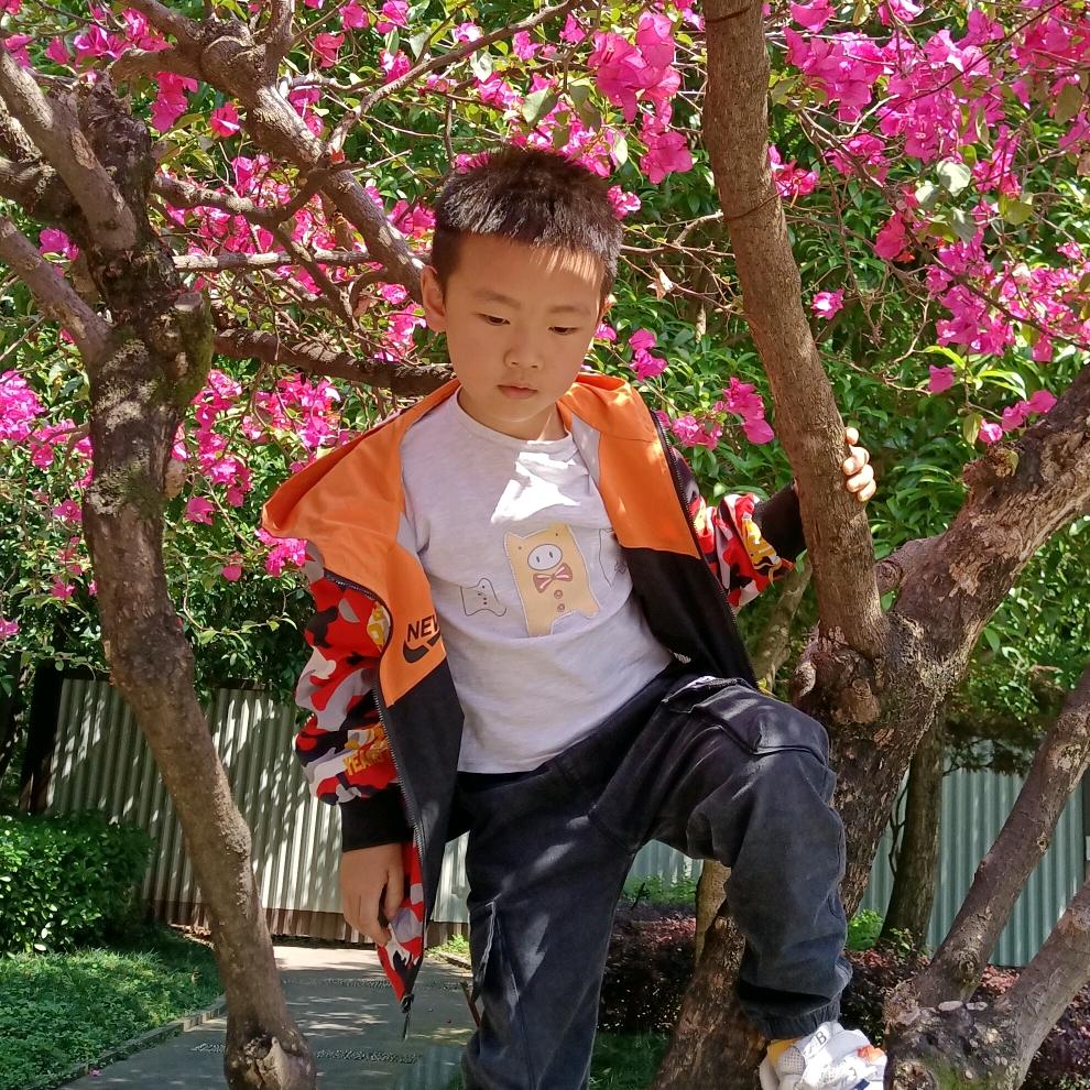 玉兰💞花🌹