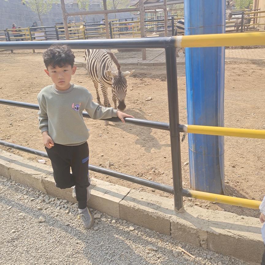 家有俩宝（拒绝私聊）