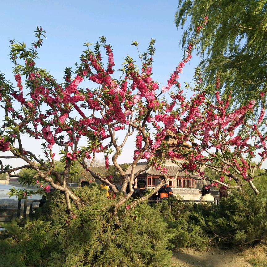 🌻爱生活，爱自己🌻