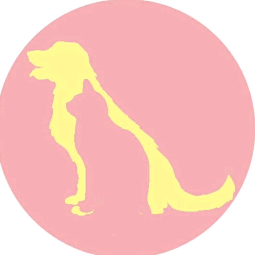 喵汪正传（毛孩子们想要个妈，晚8点直播）