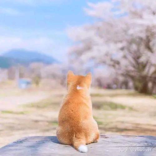 南太湖全屋智能