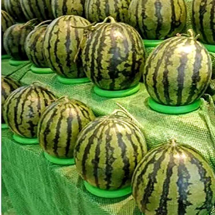 百分百真