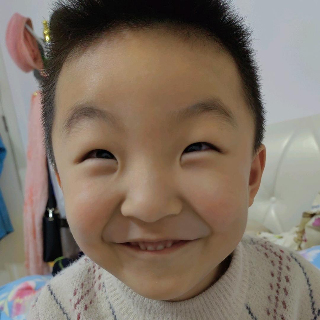 燕子飞回来了