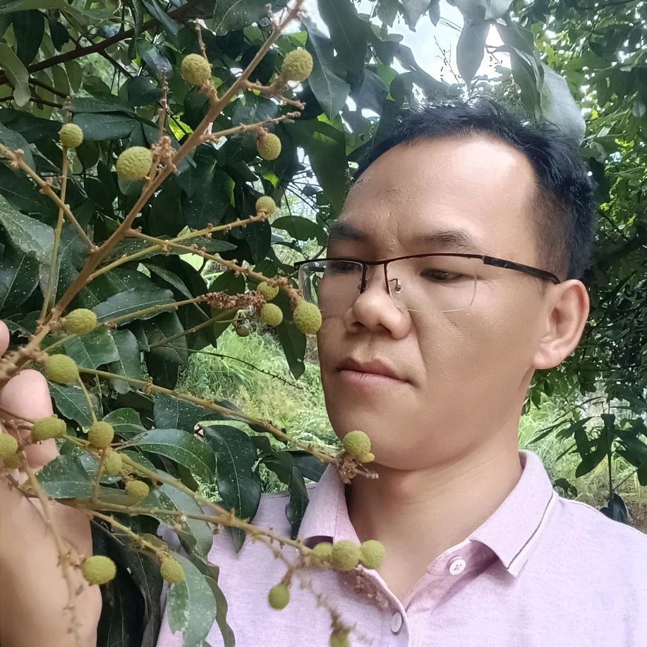 张氏本草