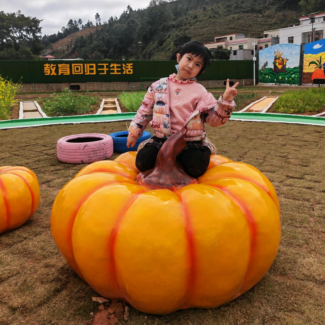 紫金县龙窝镇大榕树科普文化传媒中心