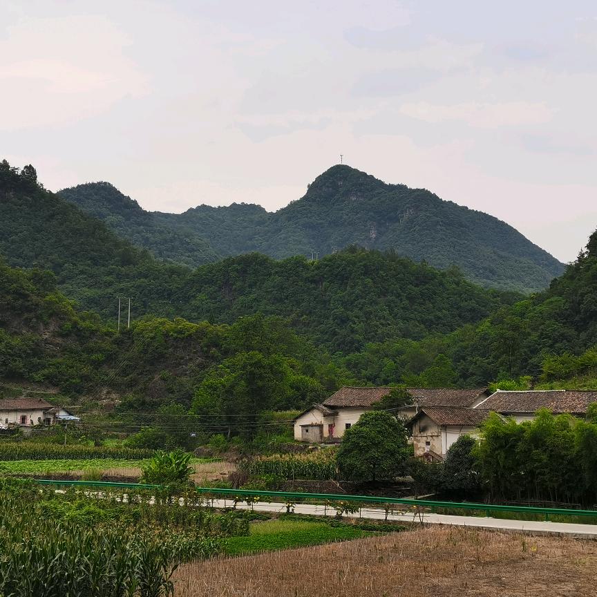 荣耀小白
