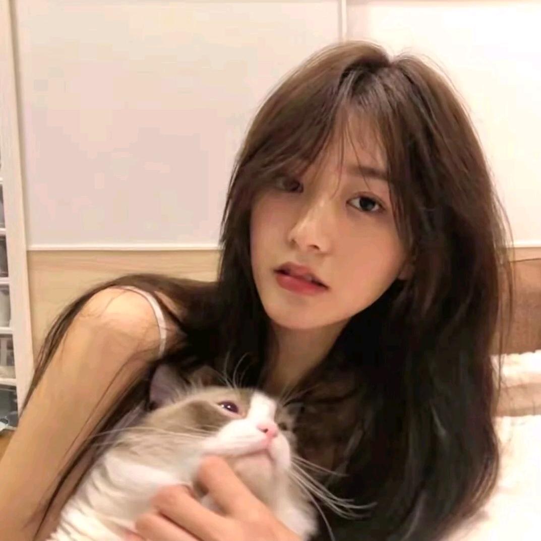 柒 --