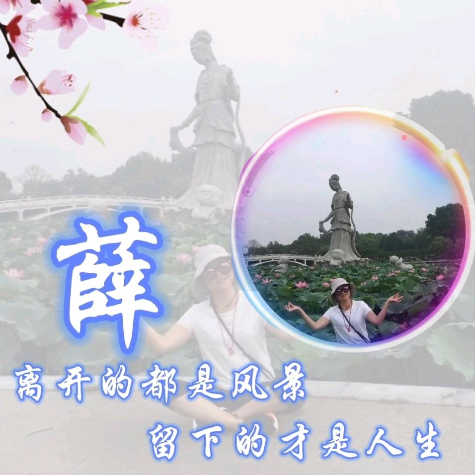 昙花一现💫
