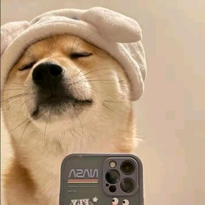 旺旺李usps延时单