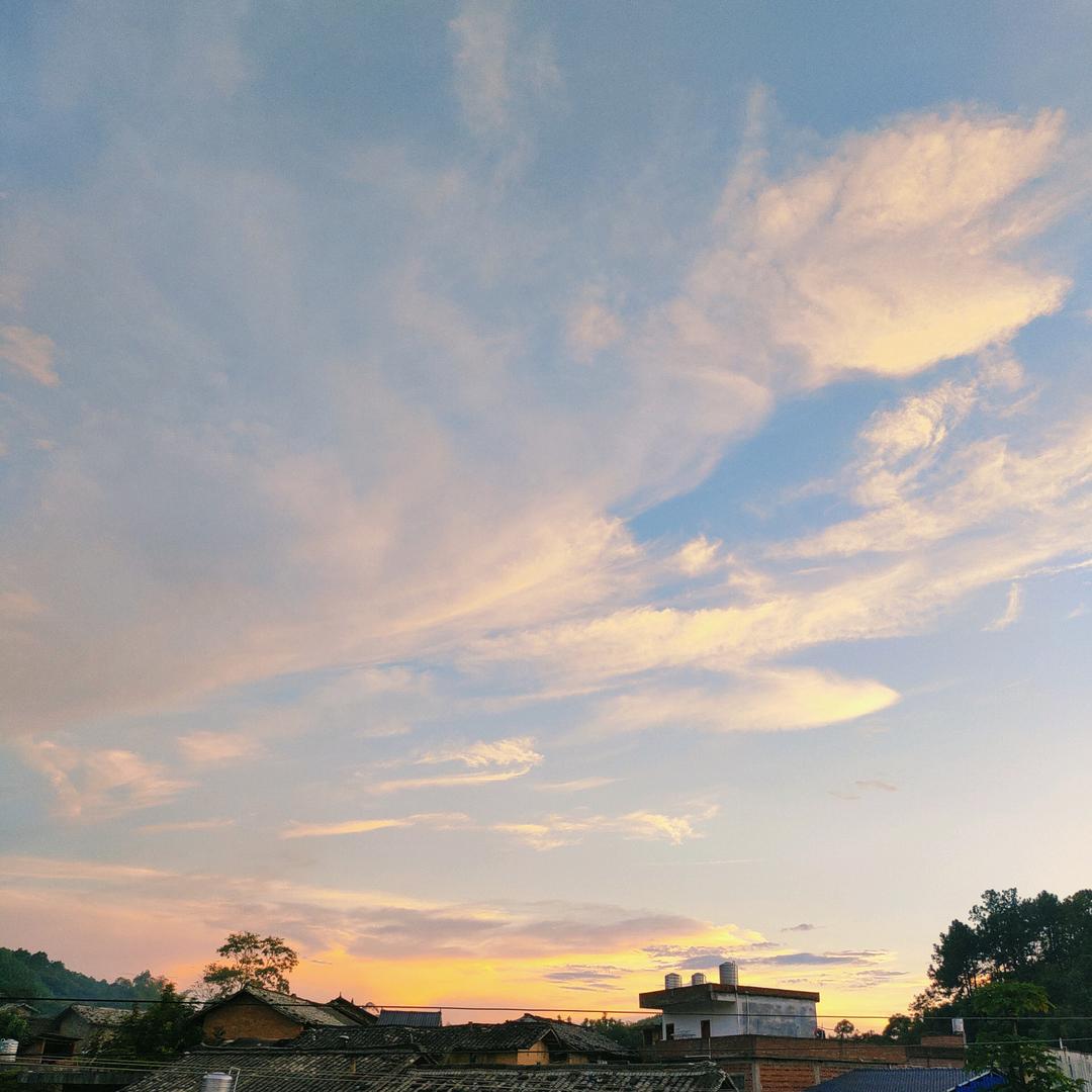 柚子c
