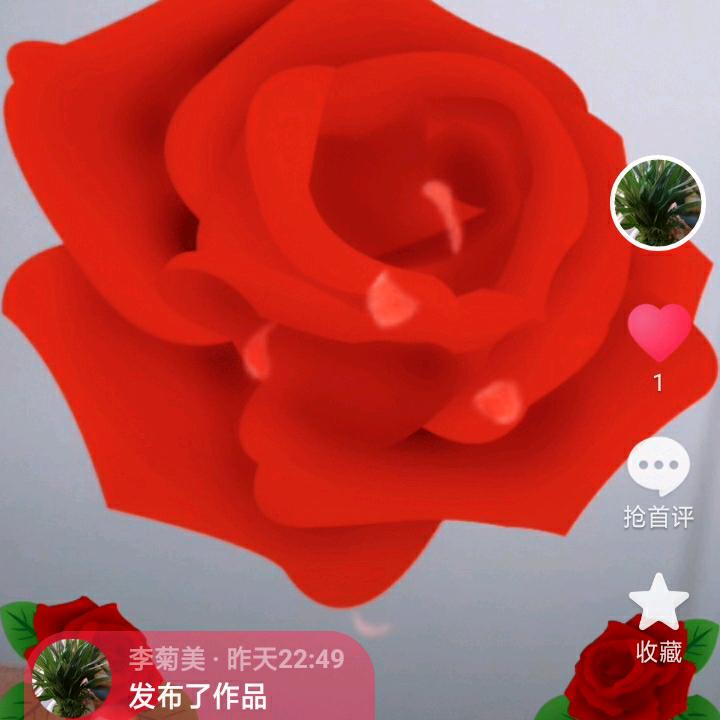 李美