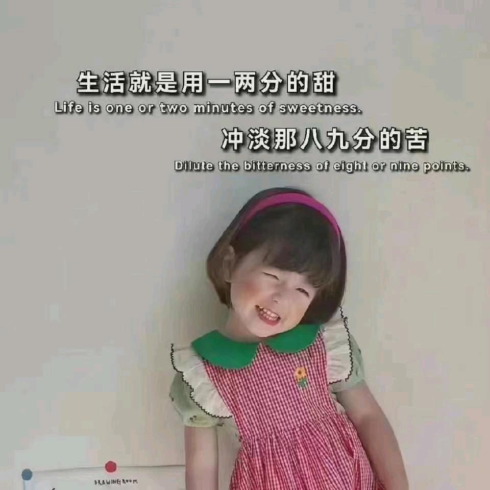 人生若只如初见