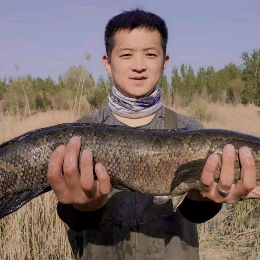 水货兄弟