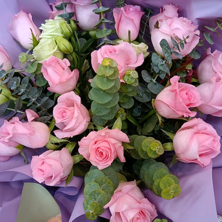 何可人🌹🌹🌹