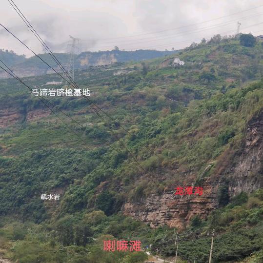 🍊小郑🍊种脐橙的🍊