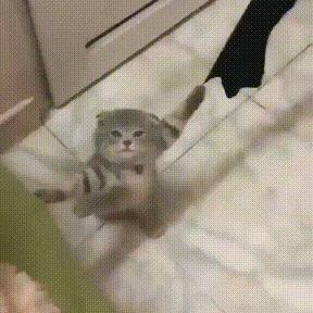 一个牛逼的网名