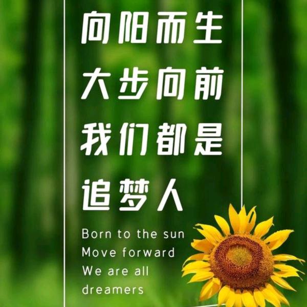 二宝妈在深圳