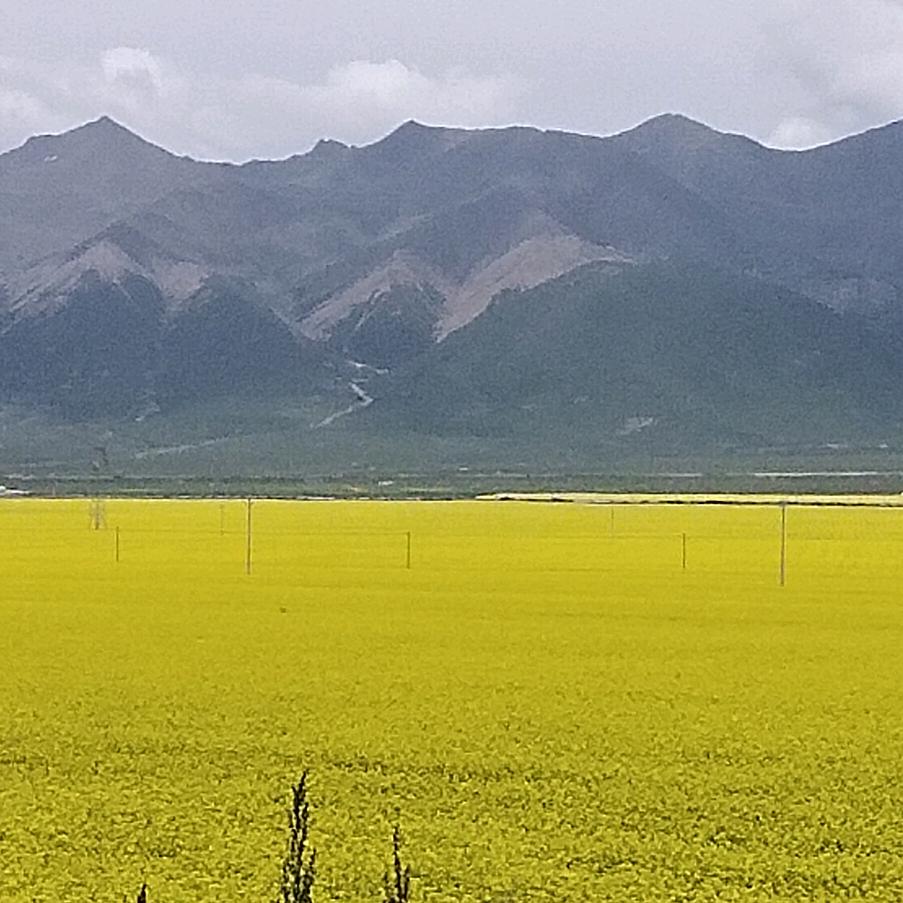 春光明媚