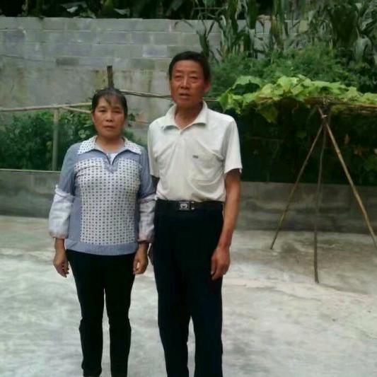 时光