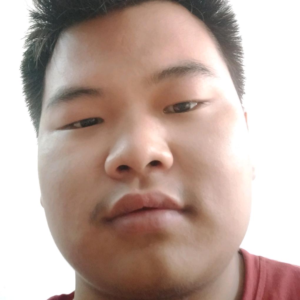 自由的风