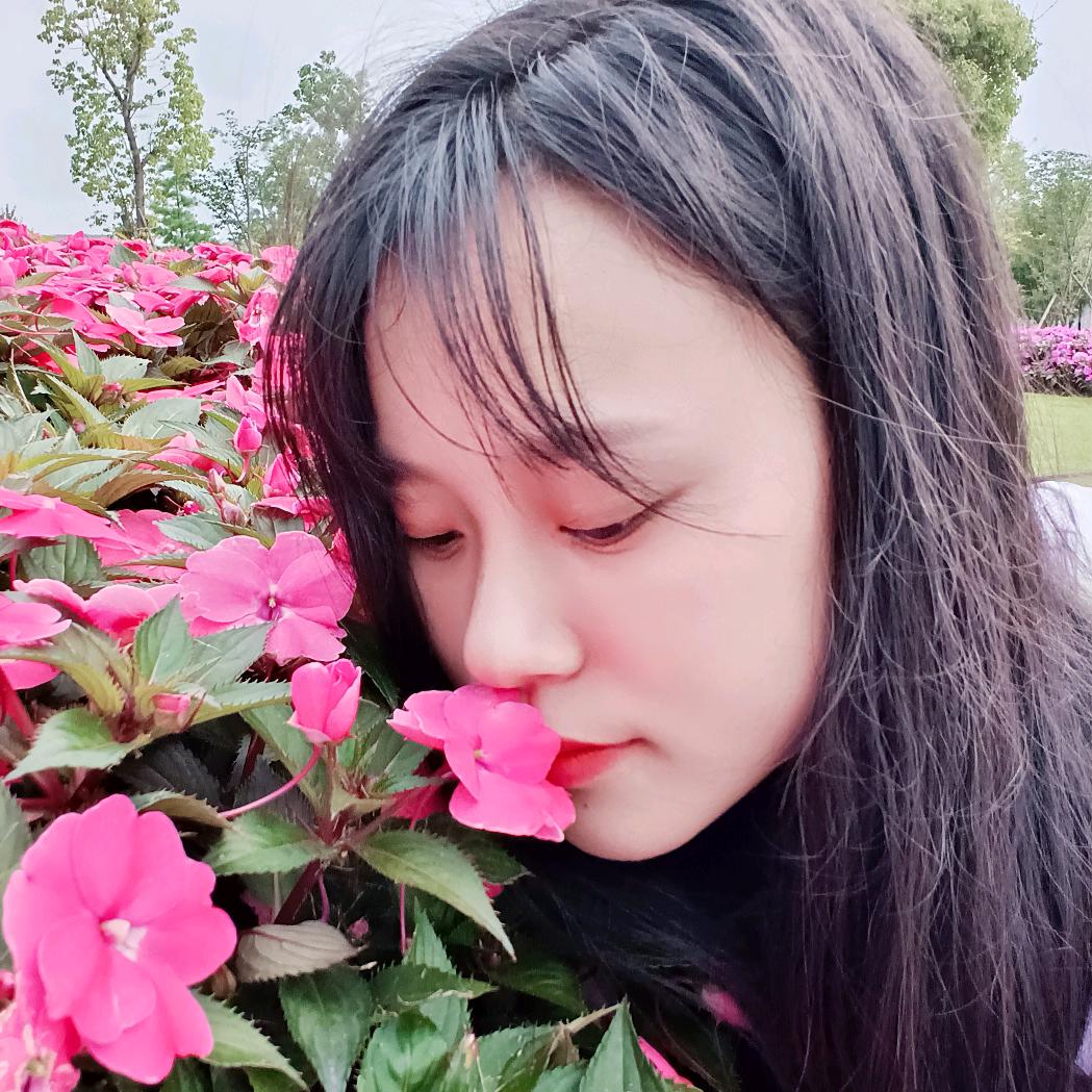 小燕子