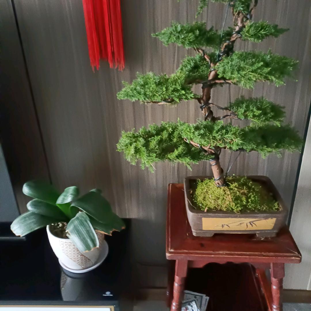 丽姐姐我