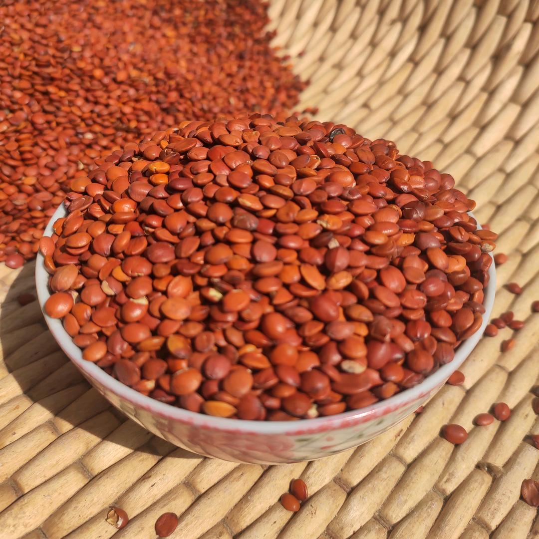 鹊山邢台酸枣仁