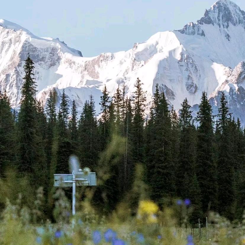 世界上没有完美的人