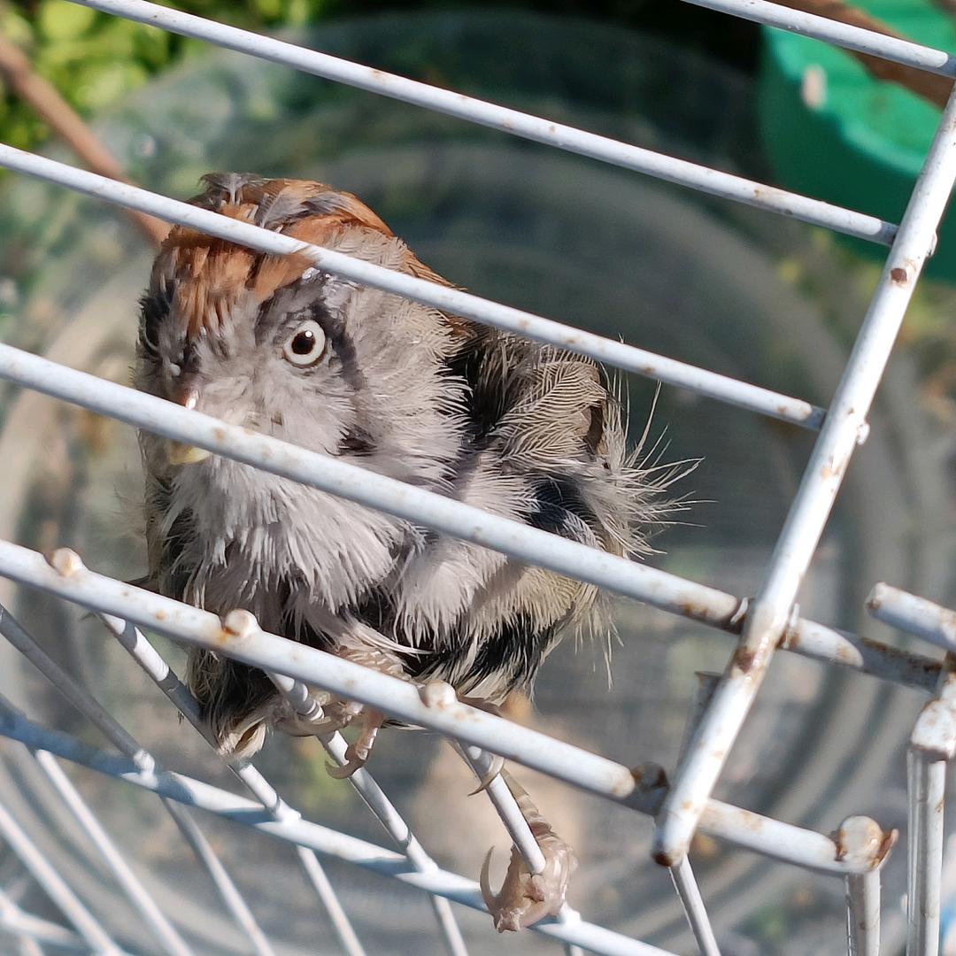 🌈老默我想吃鱼