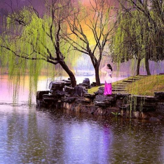 雨飞扬
