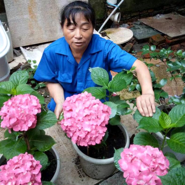 王浩兰农村爱晿大妈