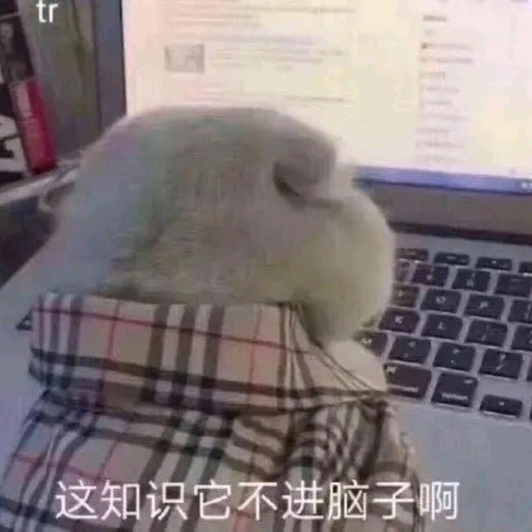 养🐑的杨扬🎋