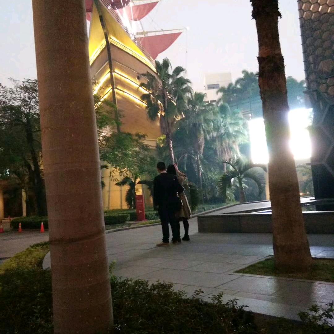 快乐单身