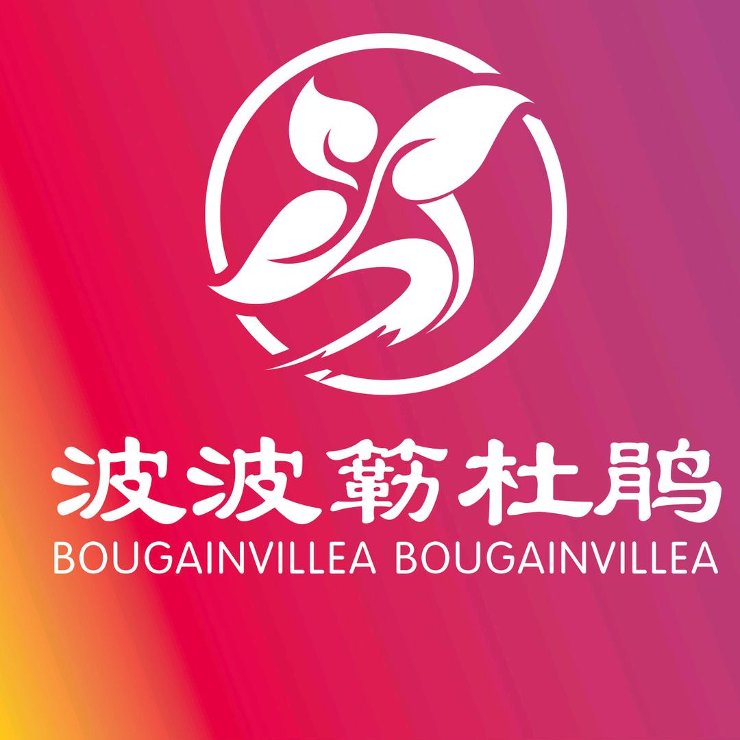 波波簕杜鹃园艺
