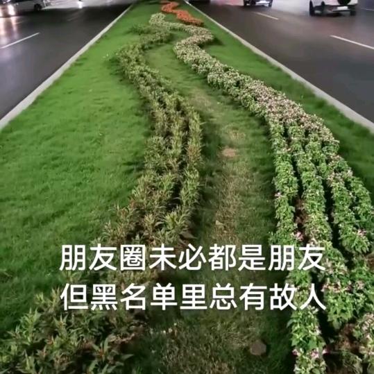 你的名字我的心事