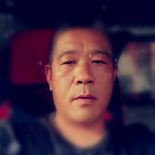 带着蚂蚁去散步