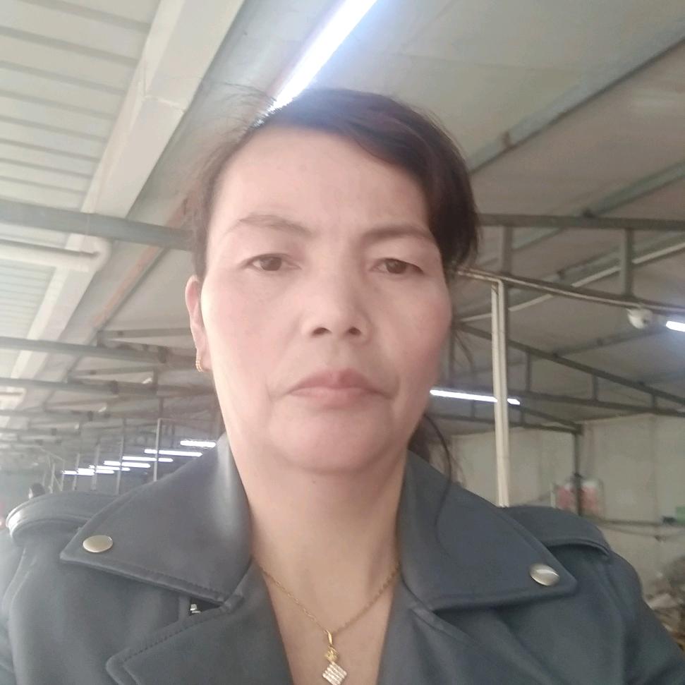 陈玲丽