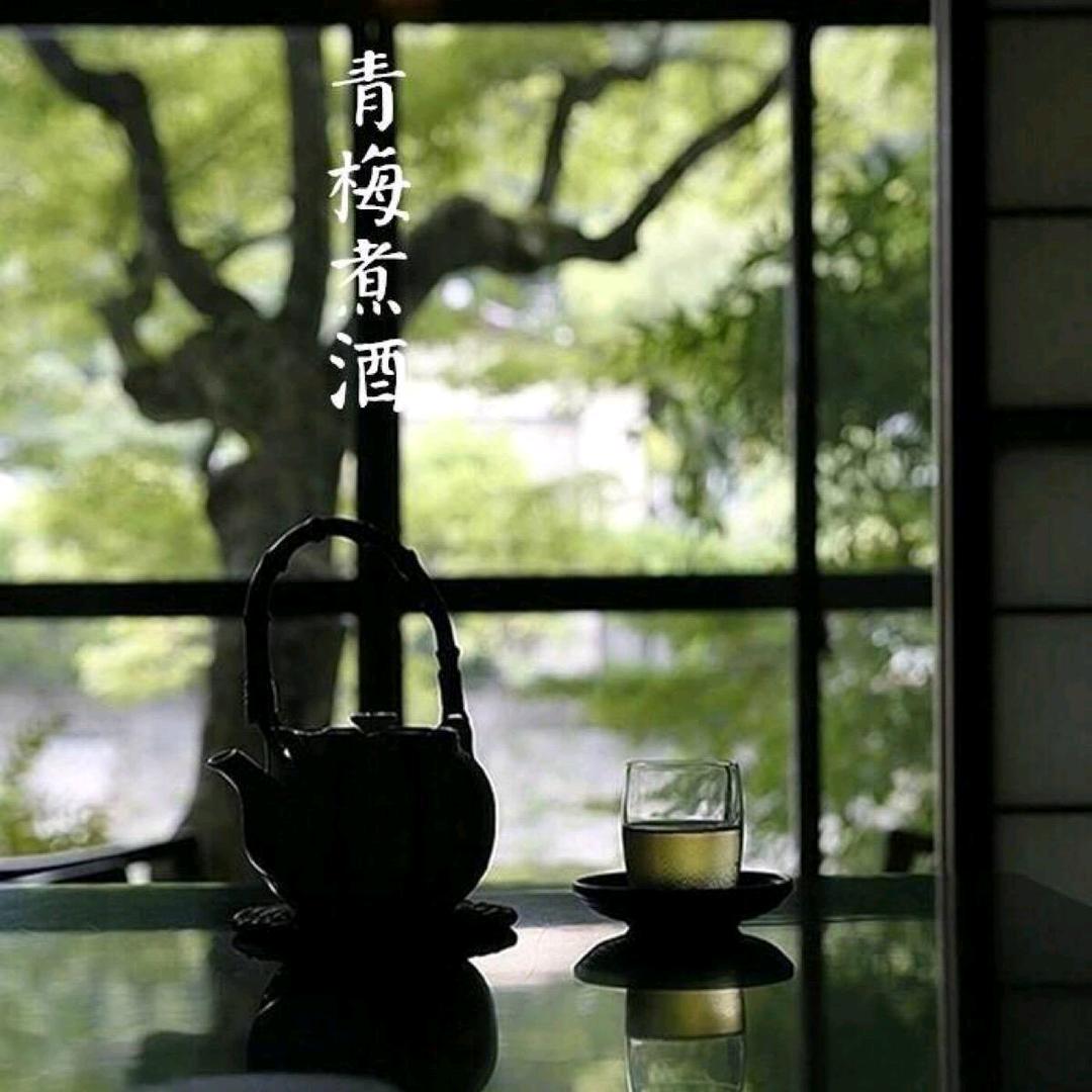 微雨青梅煮酒