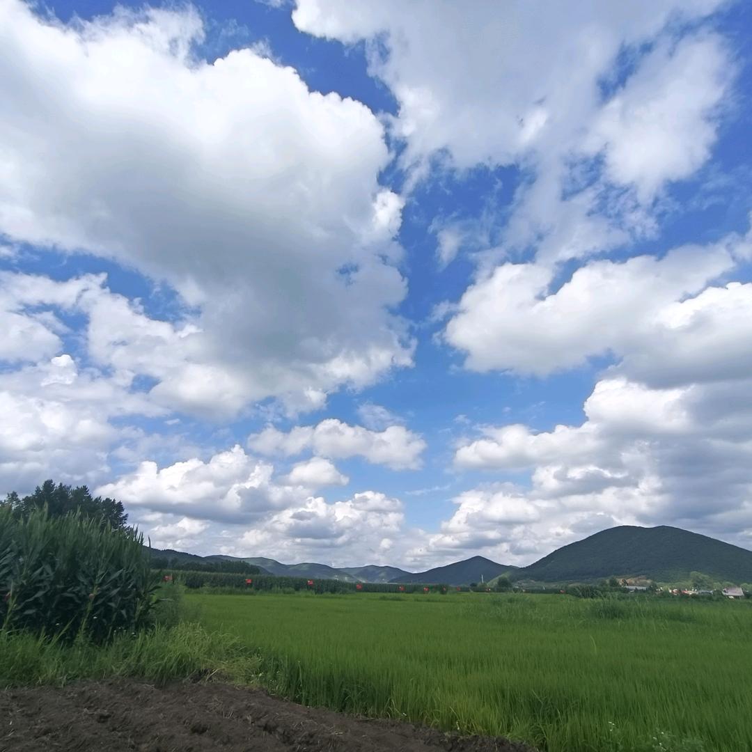 亚丽