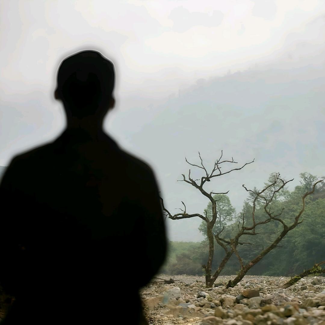 相逢何必曾相识👊