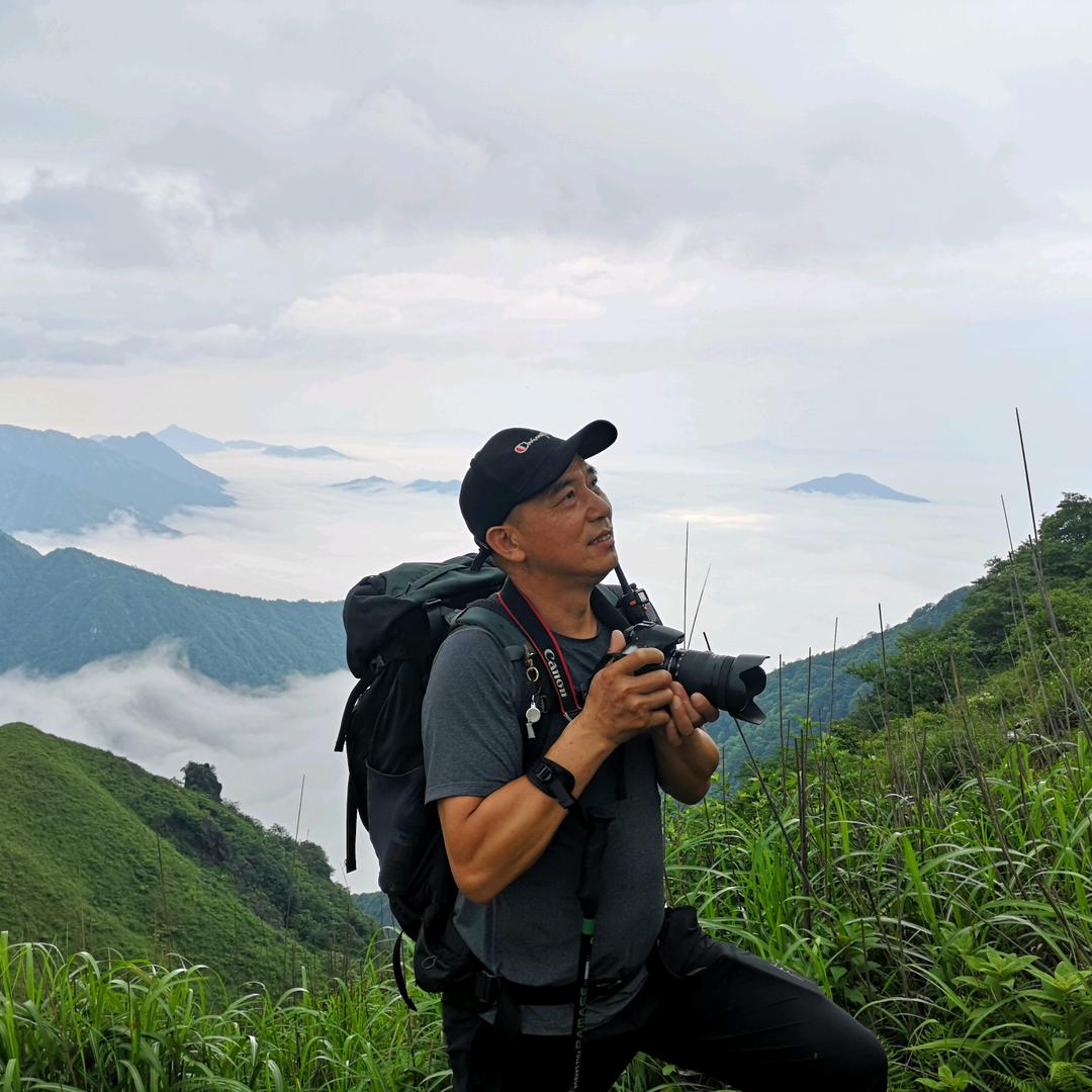 闲云野鹤