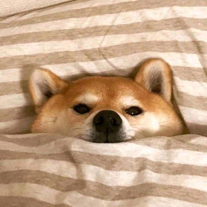zzZ