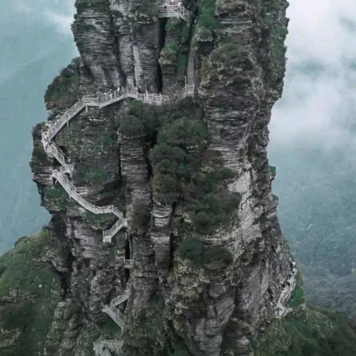 ，？风雨同舟