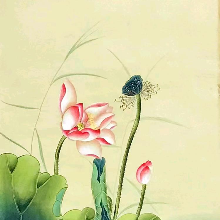 財运仙子1⃣