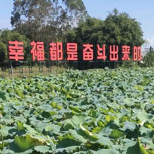 邹振兴