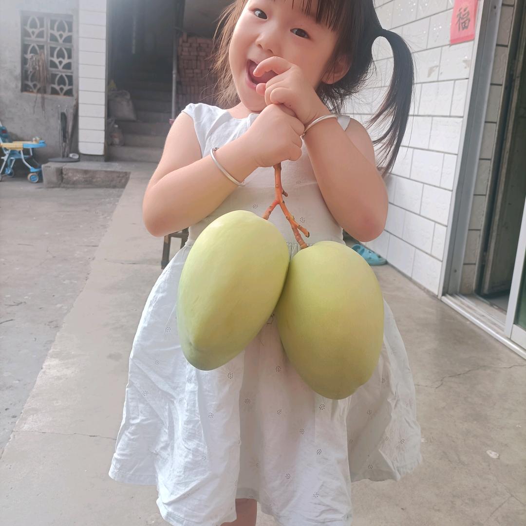 种芒果的妞