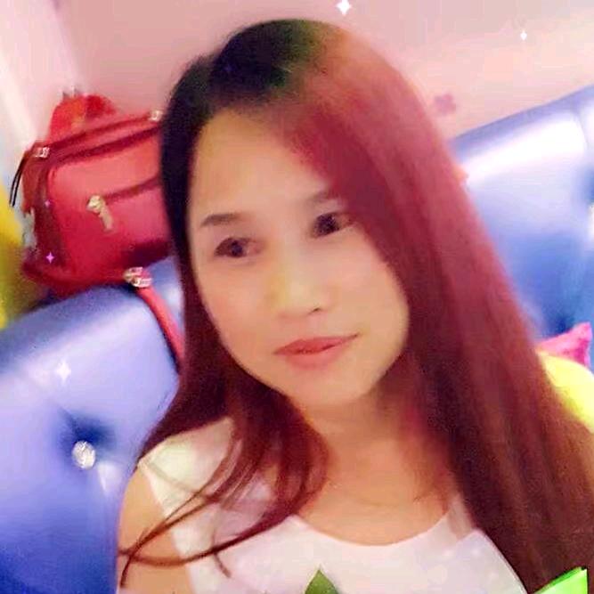 单只蝴蝶