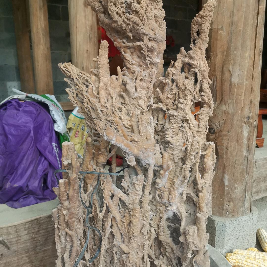 以后的以后