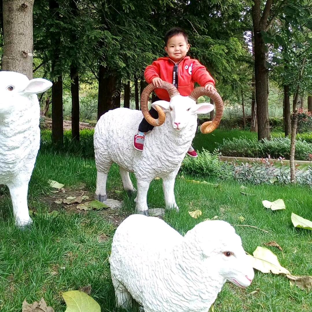 misidezhang