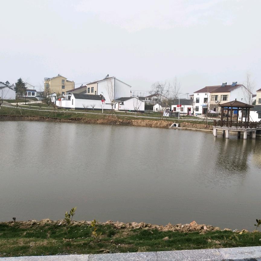 海之恋